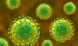 Vaccine chống virus Nipah nguy hiểm, hiệu quả sau 3 ngày tiêm 