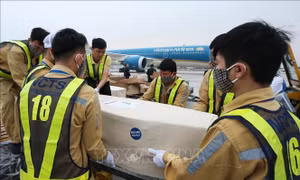 Kết luận nguyên nhân 39 người Việt tử vong trong container tại Anh