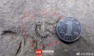 Tìm thấy dấu chân khủng long nhỏ chưa từng thấy ở Trung Quốc