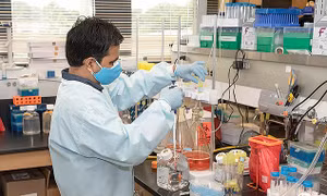 Quân đội Mỹ phát triển vaccine chống mọi biến thể của virus SARS-CoV-2