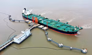Bloomberg tiết lộ nguồn thay thế khi Trung Quốc cắt giảm 90% lượng mua dầu thô của Mỹ