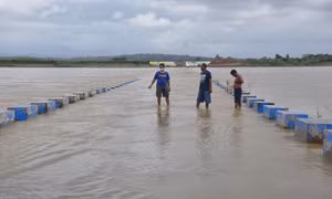 Siêu bão Goni với mức gió ‘thảm họa’ gây sạt lở đất ở Philippines