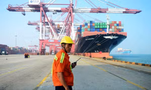Khủng hoảng vỏ container đẩy cước vận tải biển tăng 300%