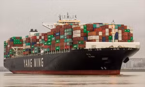 Tàu hàng đầu tiên vượt kênh đào Suez an toàn sau 'sự cố Ever Given'