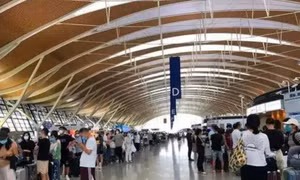 COVID-19 khiến du học sinh Trung Quốc phải mua vé với giá ‘cắt cổ’ khi bay trở lại Mỹ