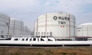 Bán dầu dự trữ ‘chưa có tiền lệ’, Trung Quốc muốn gửi thông điệp đến OPEC+