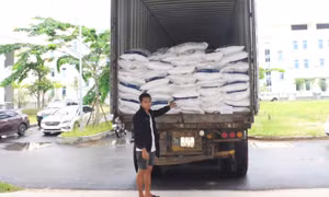 TP Hồ Chí Minh: Khởi tố tài xế vận chuyển trái phép 40 tấn đường cát qua biên giới