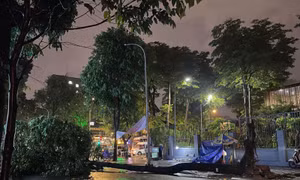 TP Hồ Chí Minh: Cây xanh ngã đổ trong mưa đè trúng 4 người