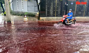 TP Hồ Chí Minh: Chưa xác định được nguồn nước đỏ xuất hiện trên đường sau cơn mưa