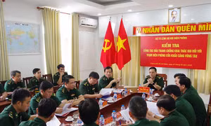 Bộ Tư lệnh BĐBP kiểm tra công tác chống khai thác IUU tại TP Hồ Chí Minh