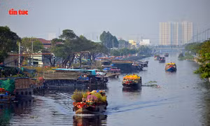 Nhộn nhịp chợ hoa Tết ‘trên bến dưới thuyền’ đầy sắc màu ở TP Hồ Chí Minh