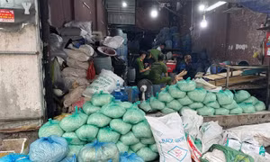 Khởi tố 4 bị can liên quan vụ sản xuất hơn 1.000 tấn giá đỗ chứa hóa chất cấm