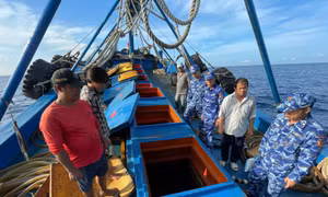 Bắt giữ tàu cá vận chuyển khoảng 70.000 lít dầu không rõ nguồn gốc trên biển Côn Đảo
