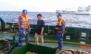 Vùng Cảnh sát biển 3 triệt phá 4 vụ án, chuyên án ma túy trong đợt cao điểm