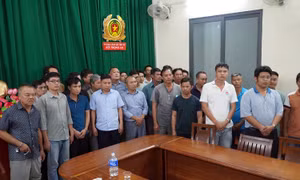 Công an TP Hồ Chí Minh đã khởi tố 318 bị can trong lĩnh vực đăng kiểm