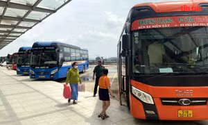 Nhà xe Thành Bưởi dừng hoạt động, các bến xe đảm bảo đủ phương tiện phục vụ hành khách