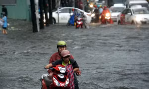 Mưa lớn kéo dài, TP Hồ Chí Minh lại ngập lụt, đổ cây, tắc đường