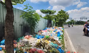 Rác tràn đường vì nạn đổ trộm tại TP Hồ Chí Minh