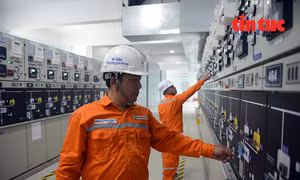 Ngành điện TP Hồ Chí Minh kích hoạt phương án ứng phó mùa nắng nóng