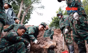 TP Hồ Chí Minh: Quy tập thêm 11 bộ hài cốt liệt sĩ tại Công viên Lê Thị Riêng