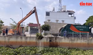 TP Hồ Chí Minh: Công nhân ngâm mình dưới kênh Nước Đen để dọn rác