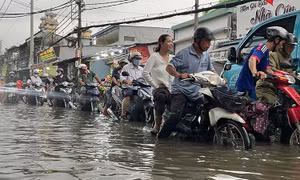 Đề phòng triều cường ở ven biển Bắc Bộ và Đông Nam Bộ