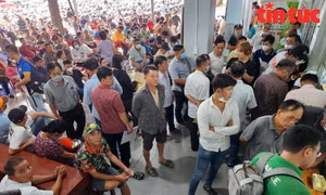 TP Hồ Chí Minh: Người dân xếp hàng đổi bằng lái xe vì 'tin đồn' trên mạng