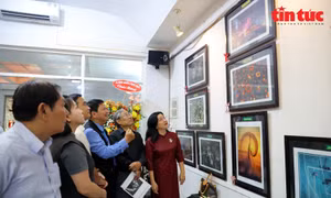 Liên hoan Ảnh TP Hồ Chí Minh 2025: Sân chơi lớn của gần 2.000 tác phẩm trên cả nước
