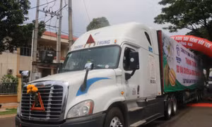 Thặng dư thương mại hàng nông, lâm, thủy sản đạt 4,63 tỷ USD