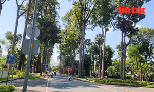 Cấm xe nhiều tuyến đường trung tâm phục vụ Giải chạy đêm TP Hồ Chí Minh 2026