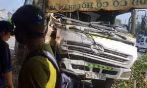Xe chở rác đâm đổ cây xanh, suýt lao vào nhà dân