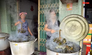 TP Hồ Chí Minh: Xóm làm bánh ú nước tro truyền thống tất bật dịp Tết Đoan Ngọ