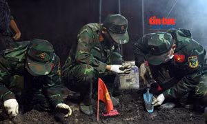 TP Hồ Chí Minh: Quy tập 616 bộ hài cốt liệt sĩ tại Công viên Lê Thị Riêng