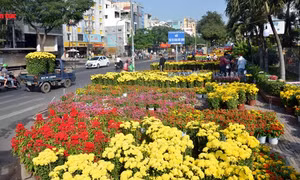 Thành phố Hồ Chí Minh 'ngập' trong sắc hoa ngày 29 Tết