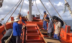 Cảnh sát biển bắt giữ hai tàu cá vận chuyển 260.000 lít dầu DO 