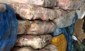 TP Hồ Chí Minh: Phát hiện 2 container chứa nội tạng và thịt động vật không rõ nguồn gốc
