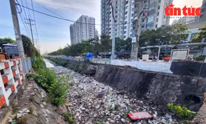 Bảo vệ kênh rạch trong mùa mưa từ kiểm soát rác thải