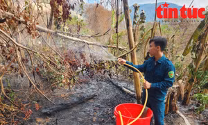 Hàng trăm người vẫn đang nỗ lực dập lửa cháy âm ỉ trên rừng Núi Tô
