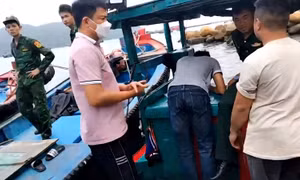 TP Hồ Chí Minh: Phát hiện tàu cá tàng trữ chất độc Xyanua