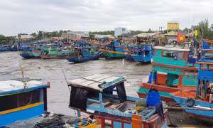 Kiến nghị bổ sung huyện Cần Giờ vào nhiệm vụ lập quy hoạch không gian biển quốc gia
