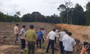 Kiên Giang: Xử lý việc lấn chiếm rừng, khu bảo tồn biển và rác thải tại Phú Quốc