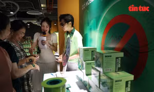 Một sáng chế bẫy muỗi mới được giới thiệu phục vụ phòng chống dịch