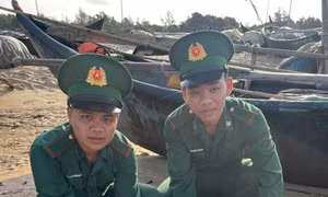 TP Hồ Chí Minh: Bàn giao và thả 2 cá thể vích về với môi trường tự nhiên