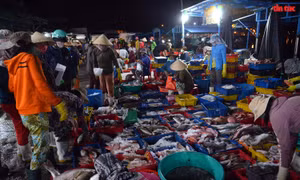 Nhộn nhịp cảng cá lớn nhất ở Ninh Thuận