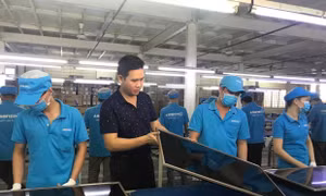 18 container hàng của Asanzo được cho phép thông quan vì không có căn cứ xử lý
