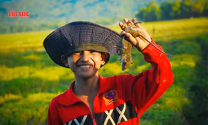 Săn chuột đồng ở vùng Bảy Núi An Giang