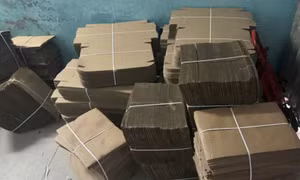 Triệt phá đường dây làm giả bằng cấp, giấy đăng ký xe