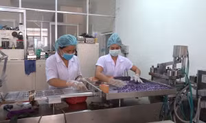 Triệt phá bốn cơ sở sản xuất thuốc, thực phẩm chức năng giả quy mô lớn 