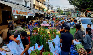 Nhộn nhịp chợ hoa lớn nhất TP Hồ Chí Minh ngày 28 Tết