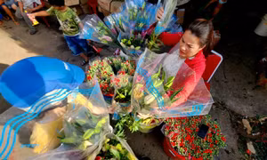 TP Hồ Chí Minh: Sức mua nhiều ngành hàng Tết tăng cao